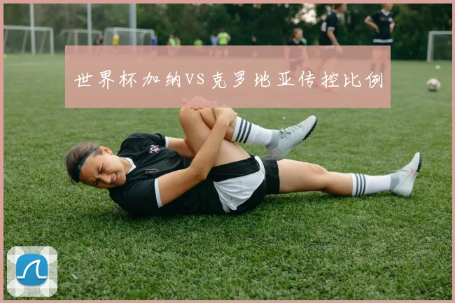 世界杯加纳vs克罗地亚传控比例