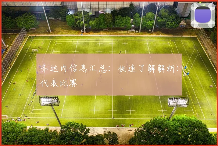 齐达内信息汇总：快速了解解析：代表比赛